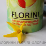 florini-2016-04-21-pitomnik-forzitsiya-vikend-01