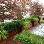roof-garden-3