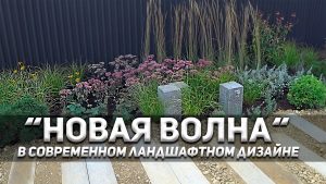 “Новая волна” или “Nature Garden” в ландшафтном дизайне становится популярным в России.